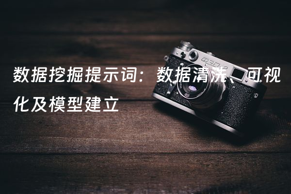 数据挖掘提示词：数据清洗、可视化及模型建立
